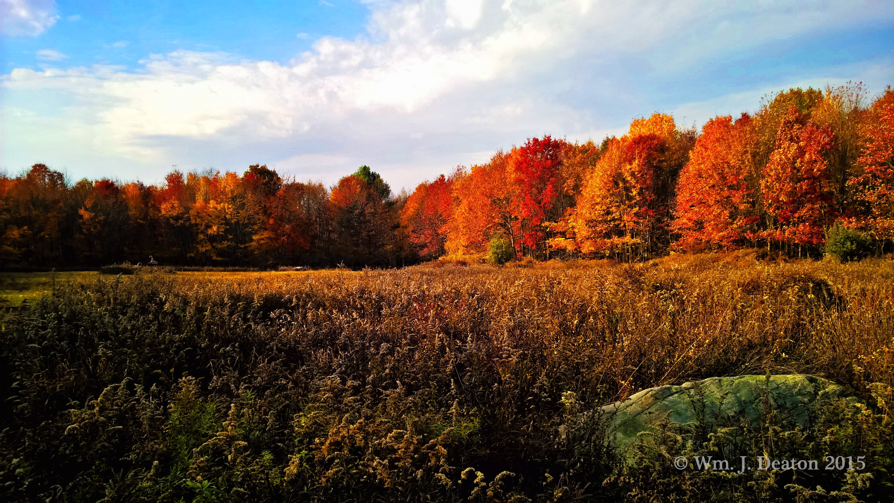 Old Dingman's Field #3
