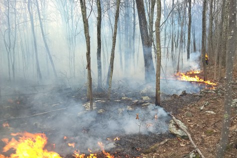 Fireline at Shohola Falls Fire